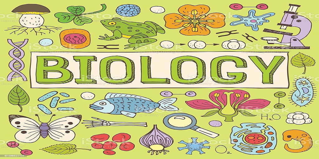 BIOLOGI X